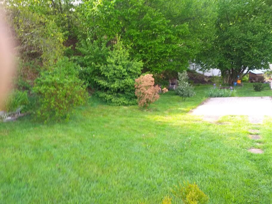 Gite La Fermette A Docelles Exterior foto